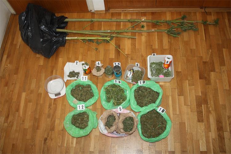 Slika PU_DN\2023\Metković - marihuana\IMG_0536.JPG